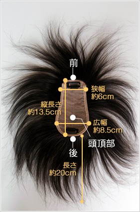 TP100B �x�[�X�T�C�Y