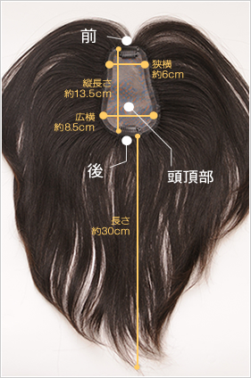 TP100R-MONO �x�[�X�T�C�Y